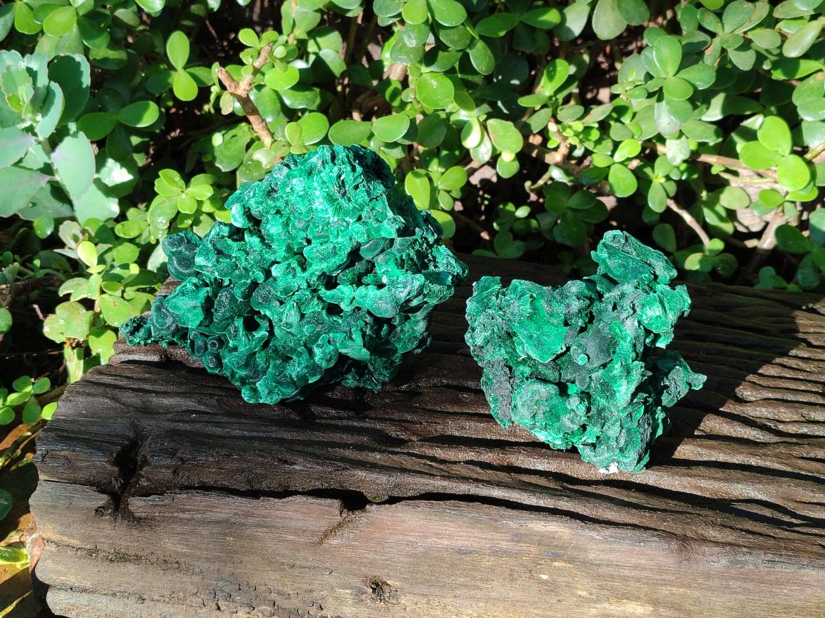 Natural Large Silky Malachite Specimens x 2 From Kasompe, Congo - Toprock Gemstones and Minerals 