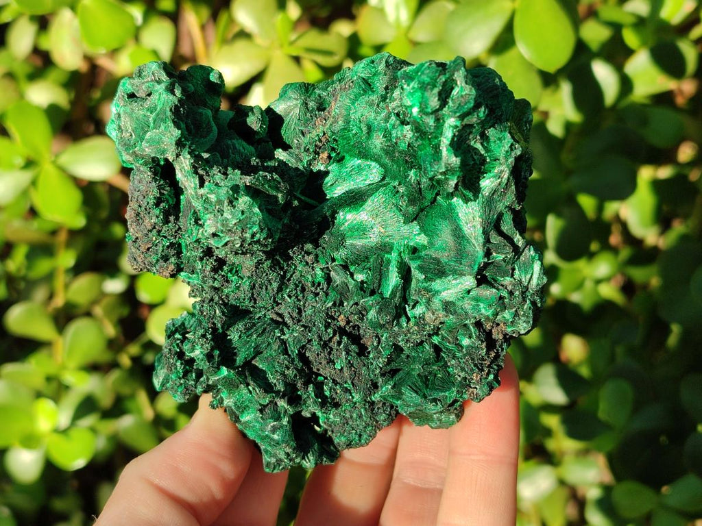 Natural Large Silky Malachite Specimens x 2 From Kasompe, Congo - Toprock Gemstones and Minerals 