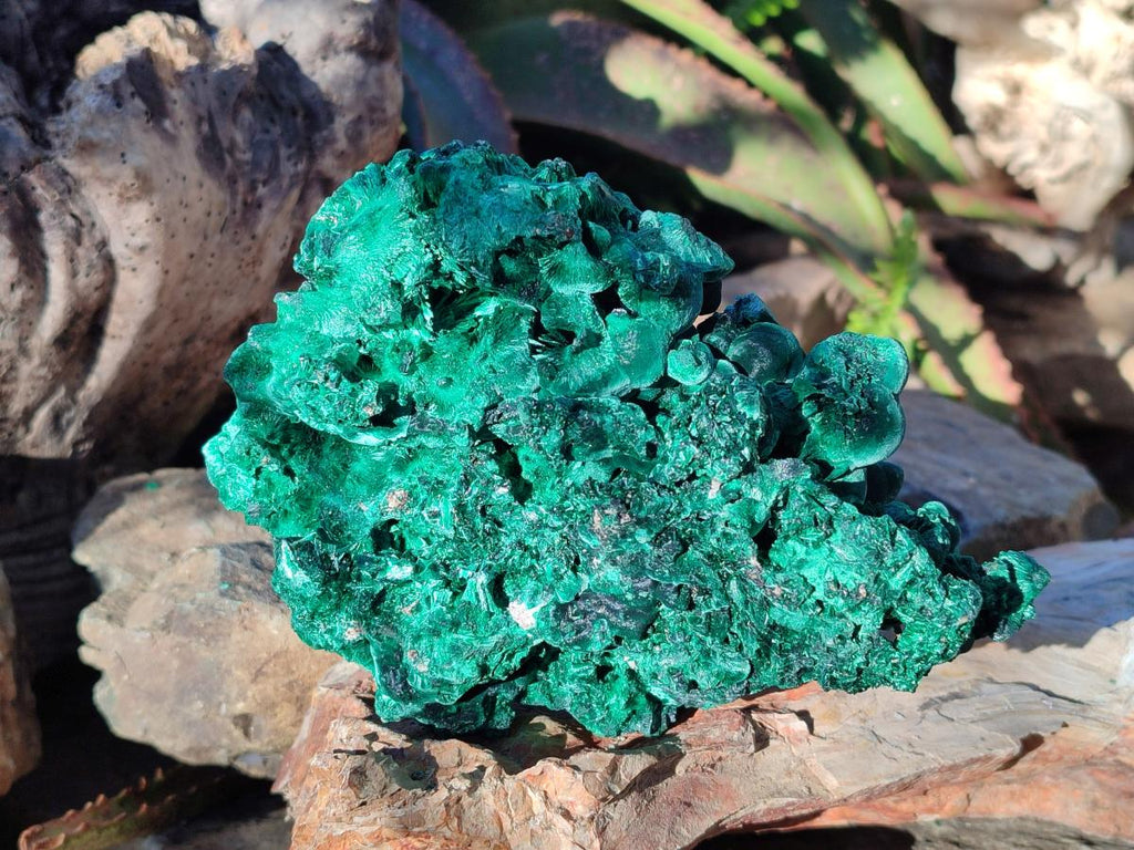 Natural Large Silky Malachite Specimens x 2 From Kasompe, Congo - Toprock Gemstones and Minerals 
