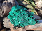 Natural Large Silky Malachite Specimens x 2 From Kasompe, Congo - Toprock Gemstones and Minerals 