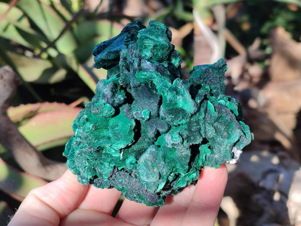 Natural Large Silky Malachite Specimens x 2 From Kasompe, Congo - Toprock Gemstones and Minerals 