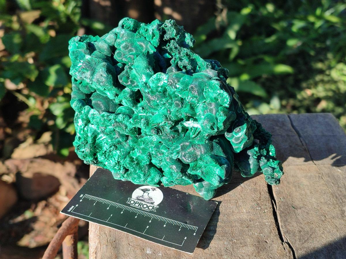 Natural Large Silky Malachite Specimens x 2 From Kasompe, Congo - Toprock Gemstones and Minerals 