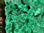 Natural Large Silky Malachite Specimens x 2 From Kasompe, Congo - Toprock Gemstones and Minerals 