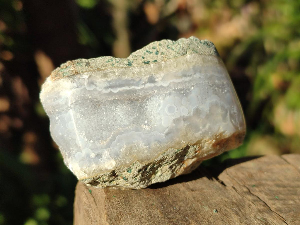 Polished On One Side Blue Lace Agate Geodes x 12 From Nsanje, Malawi - Toprock Gemstones and Minerals 