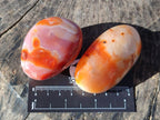 Polished Carnelian Agate Gemstone Galets x 12 From Madagascar - Toprock Gemstones and Minerals 