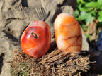 Polished Carnelian Agate Gemstone Galets x 12 From Madagascar - Toprock Gemstones and Minerals 