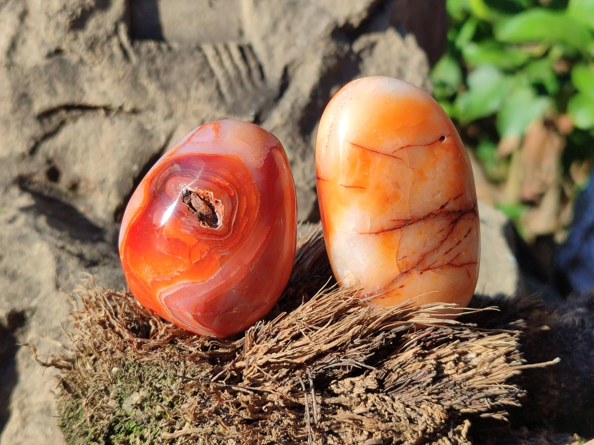 Polished Carnelian Agate Gemstone Galets x 12 From Madagascar - Toprock Gemstones and Minerals 