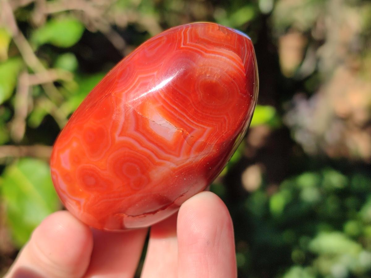 Polished Carnelian Agate Gemstone Galets x 12 From Madagascar - Toprock Gemstones and Minerals 