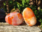 Polished Carnelian Agate Gemstone Galets x 12 From Madagascar - Toprock Gemstones and Minerals 