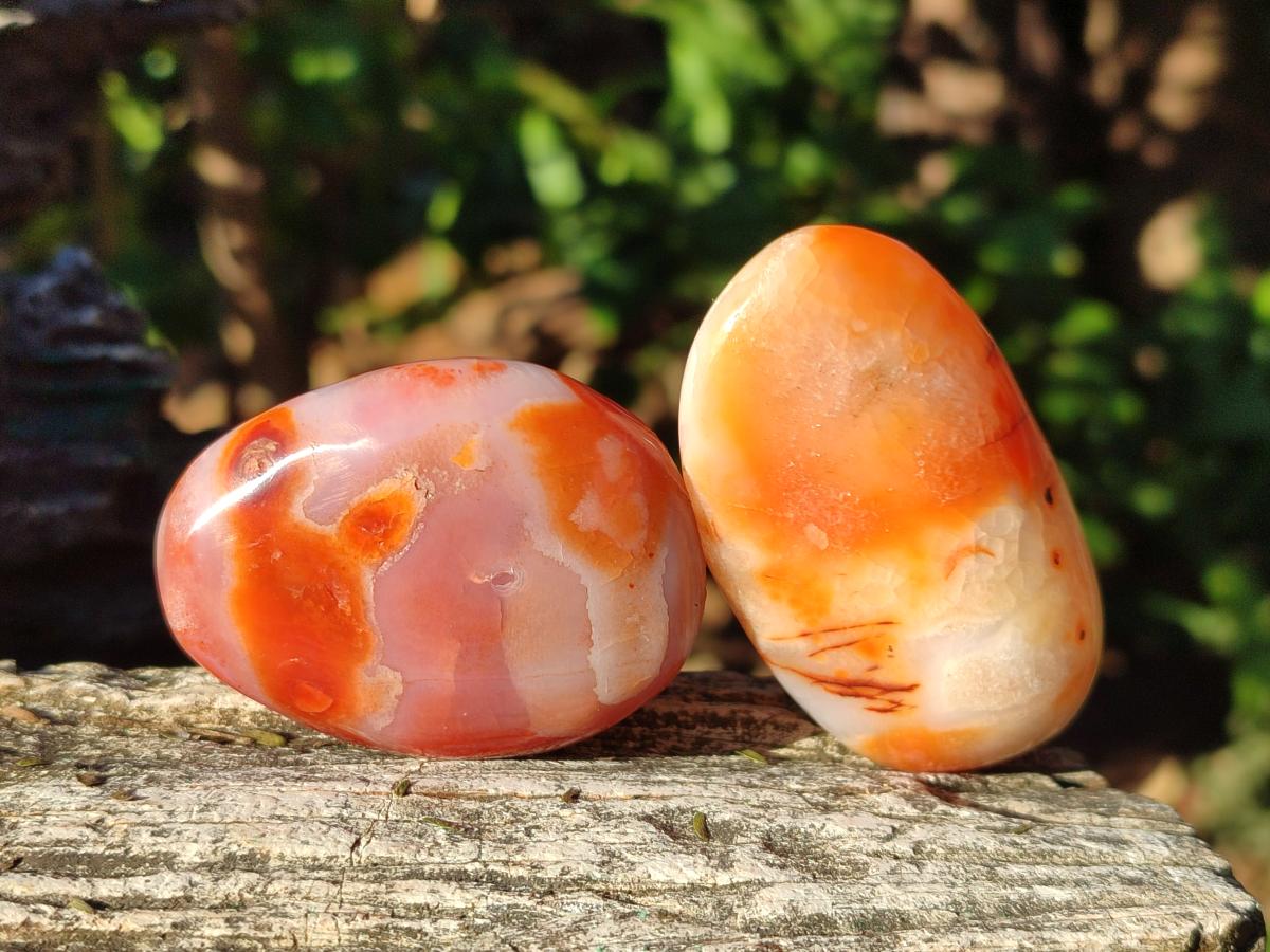 Polished Carnelian Agate Gemstone Galets x 12 From Madagascar - Toprock Gemstones and Minerals 