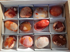 Polished Carnelian Agate Gemstone Galets x 12 From Madagascar - Toprock Gemstones and Minerals 