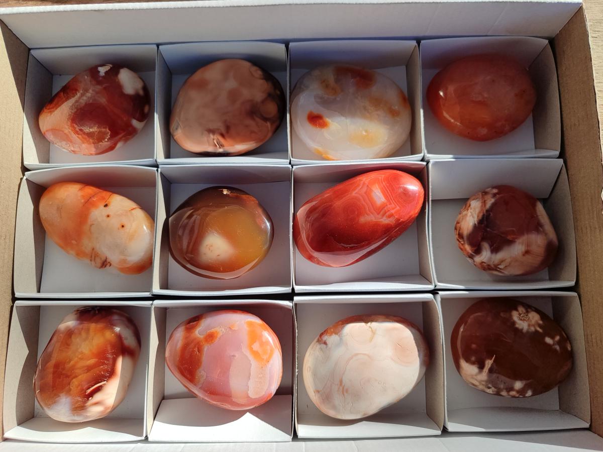 Polished Carnelian Agate Gemstone Galets x 12 From Madagascar - Toprock Gemstones and Minerals 