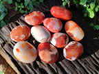 Polished Carnelian Agate Gemstone Galets x 12 From Madagascar - Toprock Gemstones and Minerals 