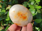 Polished Carnelian Agate Gemstone Galets x 12 From Madagascar - Toprock Gemstones and Minerals 