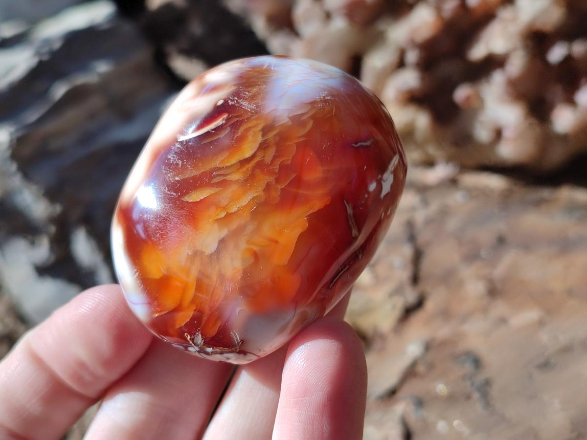 Polished Carnelian Agate Gemstone Galets x 12 From Madagascar - Toprock Gemstones and Minerals 