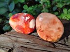 Polished Carnelian Agate Gemstone Galets x 12 From Madagascar - Toprock Gemstones and Minerals 