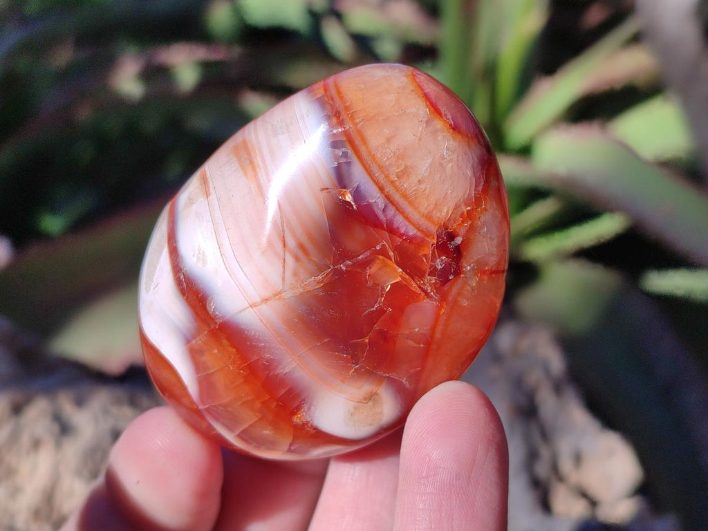 Polished Carnelian Agate Gemstone Galets x 12 From Madagascar - Toprock Gemstones and Minerals 