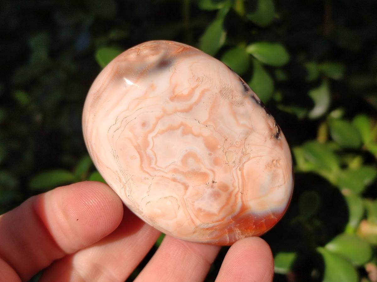 Polished Carnelian Agate Gemstone Galets x 12 From Madagascar - Toprock Gemstones and Minerals 