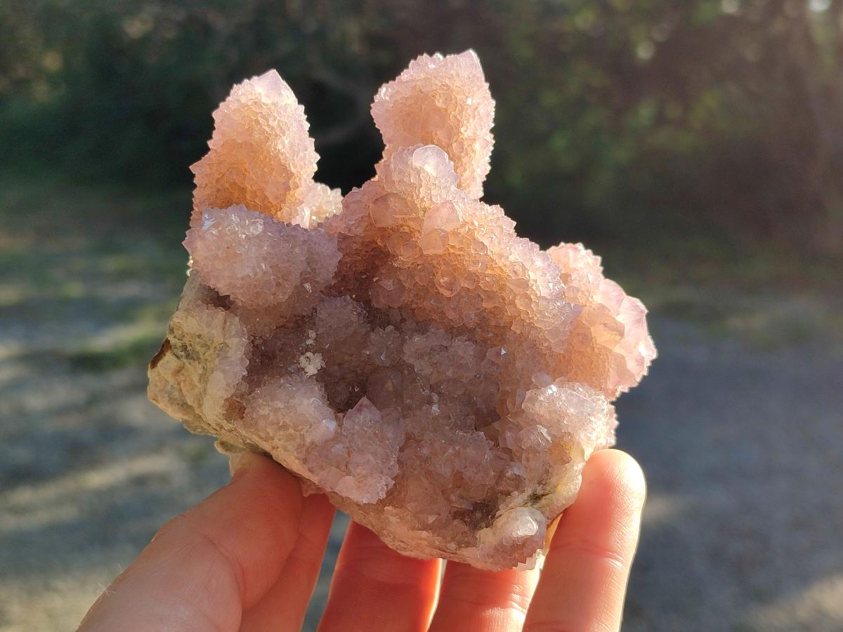 Natural Spirit Amethyst Clusters x 2 From Boekenhouthoek, South Africa - Toprock Gemstones and Minerals 