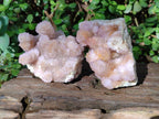Natural Spirit Amethyst Clusters x 2 From Boekenhouthoek, South Africa - Toprock Gemstones and Minerals 