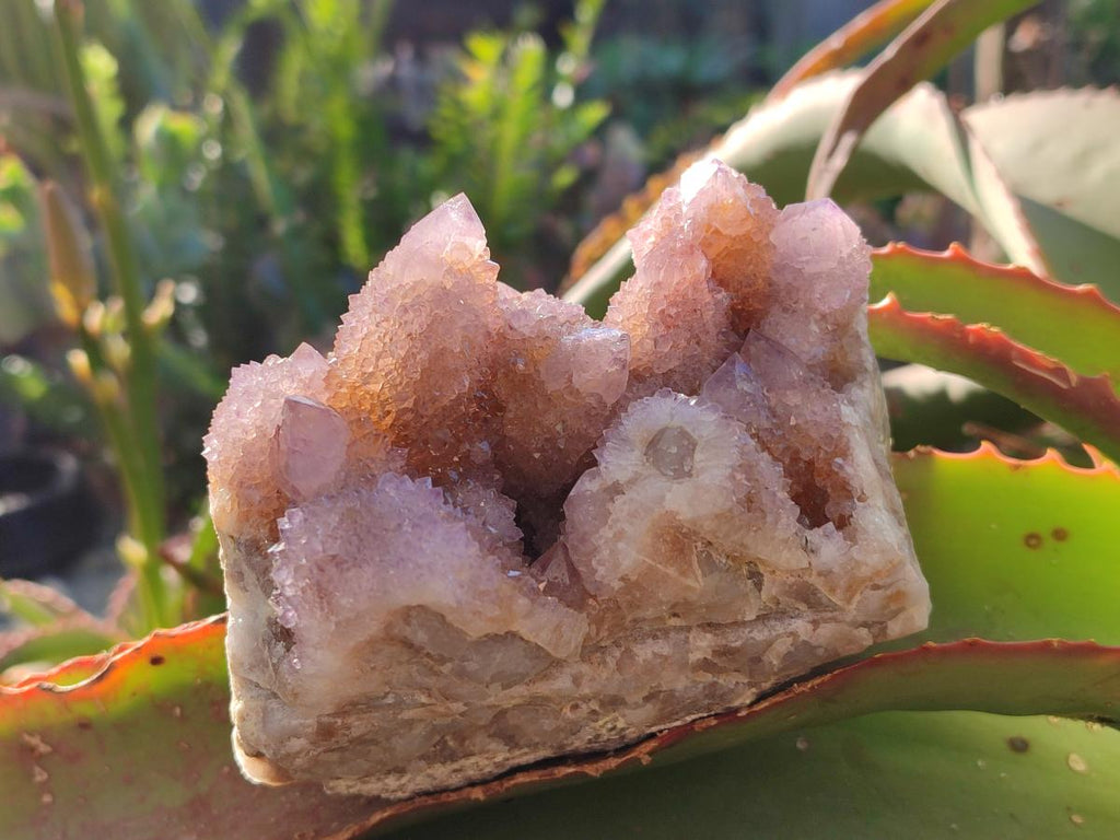 Natural Spirit Amethyst Clusters x 2 From Boekenhouthoek, South Africa - Toprock Gemstones and Minerals 