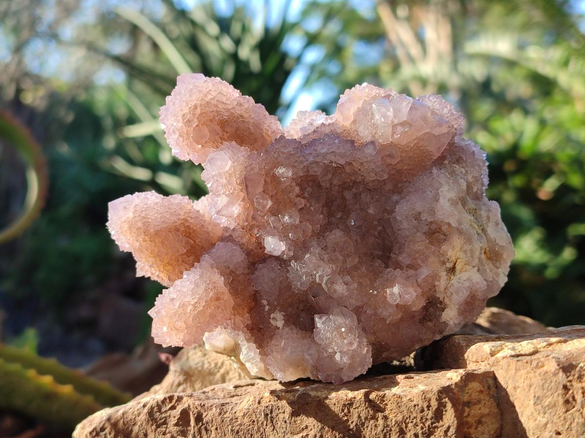 Natural Spirit Amethyst Clusters x 2 From Boekenhouthoek, South Africa - Toprock Gemstones and Minerals 