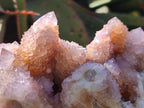 Natural Spirit Amethyst Clusters x 2 From Boekenhouthoek, South Africa - Toprock Gemstones and Minerals 