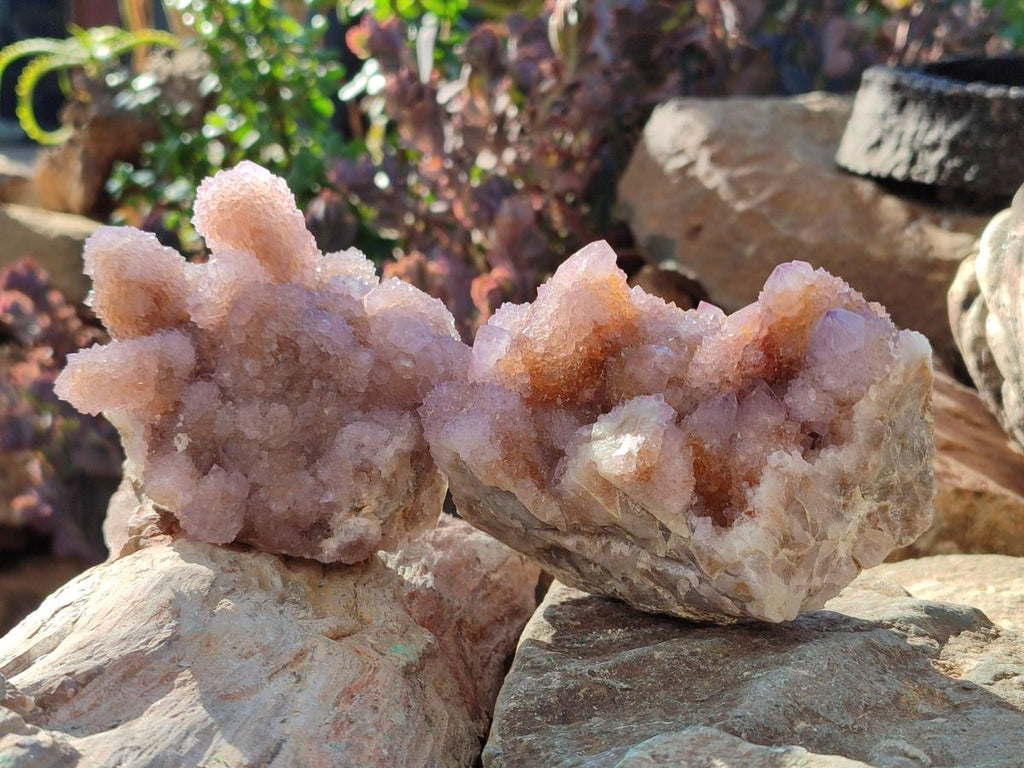 Natural Spirit Amethyst Clusters x 2 From Boekenhouthoek, South Africa - Toprock Gemstones and Minerals 