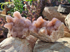 Natural Spirit Amethyst Clusters x 2 From Boekenhouthoek, South Africa - Toprock Gemstones and Minerals 