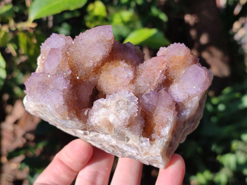 Natural Spirit Amethyst Clusters x 2 From Boekenhouthoek, South Africa - Toprock Gemstones and Minerals 