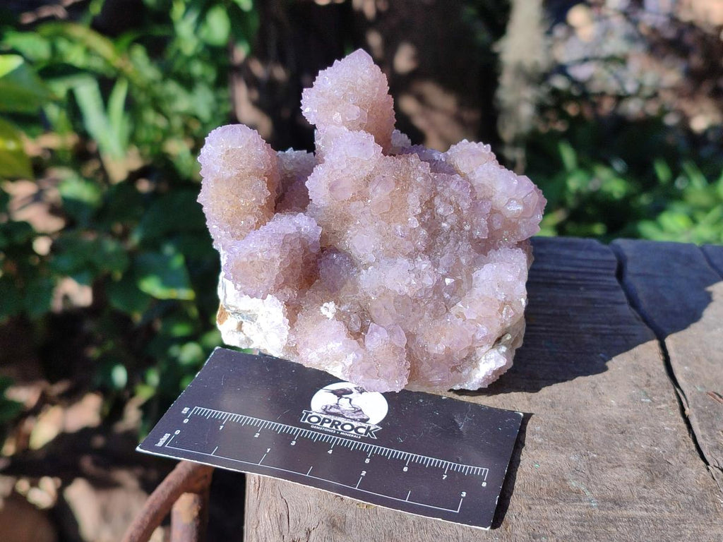 Natural Spirit Amethyst Clusters x 2 From Boekenhouthoek, South Africa - Toprock Gemstones and Minerals 