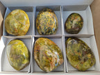 Polished Green Opal Standing Display Pieces x 6 From Betroka, Madagascar - Toprock Gemstones and Minerals 