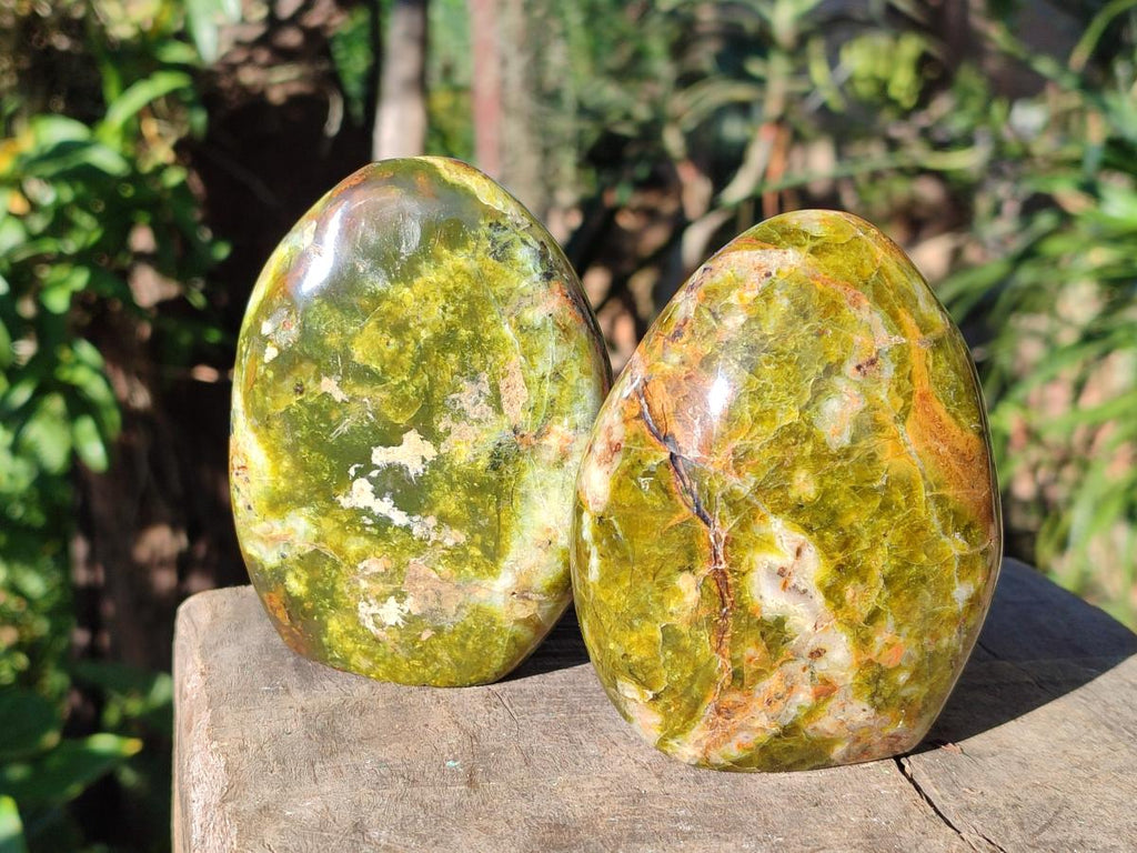 Polished Green Opal Standing Display Pieces x 6 From Betroka, Madagascar - Toprock Gemstones and Minerals 