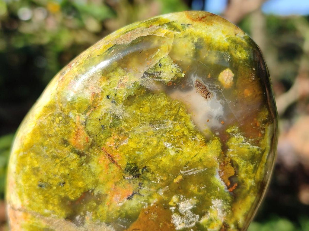 Polished Green Opal Standing Display Pieces x 6 From Betroka, Madagascar - Toprock Gemstones and Minerals 