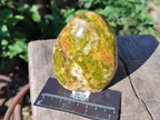 Polished Green Opal Standing Display Pieces x 6 From Betroka, Madagascar - Toprock Gemstones and Minerals 