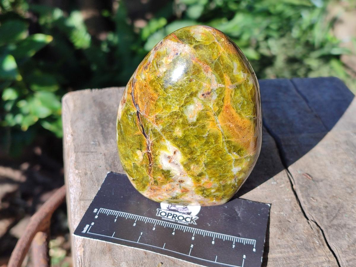 Polished Green Opal Standing Display Pieces x 6 From Betroka, Madagascar - Toprock Gemstones and Minerals 