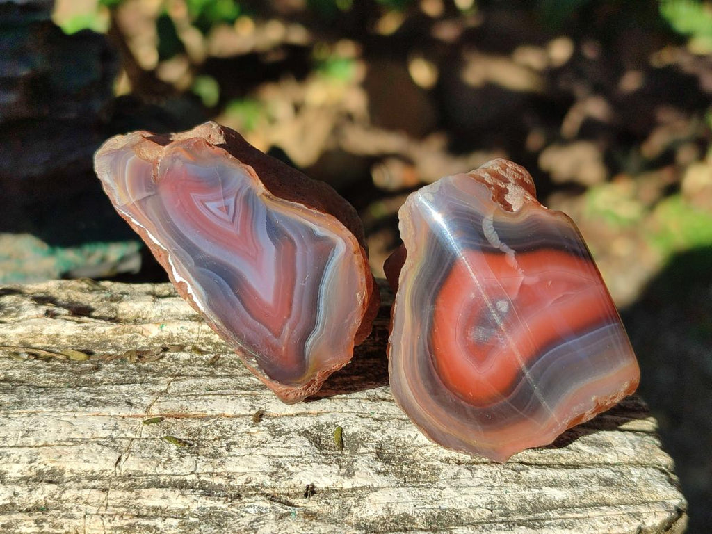 Polished One Side Red Shashe River Agate Nodules x 20 From Shashe River, Zimbabwe - Toprock Gemstones and Minerals 