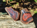Polished One Side Red Shashe River Agate Nodules x 20 From Shashe River, Zimbabwe - Toprock Gemstones and Minerals 