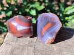 Polished One Side Red Shashe River Agate Nodules x 20 From Shashe River, Zimbabwe - Toprock Gemstones and Minerals 