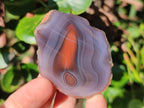 Polished One Side Red Shashe River Agate Nodules x 20 From Shashe River, Zimbabwe - Toprock Gemstones and Minerals 