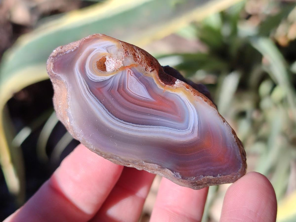 Polished One Side Red Shashe River Agate Nodules x 20 From Shashe River, Zimbabwe - Toprock Gemstones and Minerals 