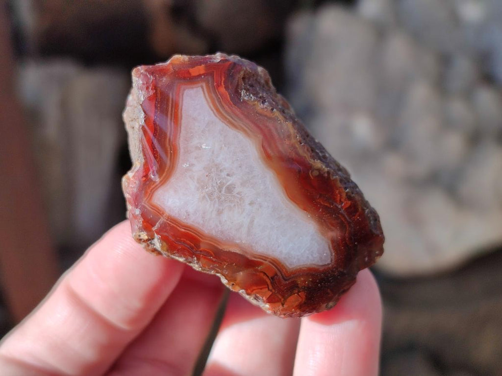 Polished One Side Red Shashe River Agate Nodules x 20 From Shashe River, Zimbabwe - Toprock Gemstones and Minerals 