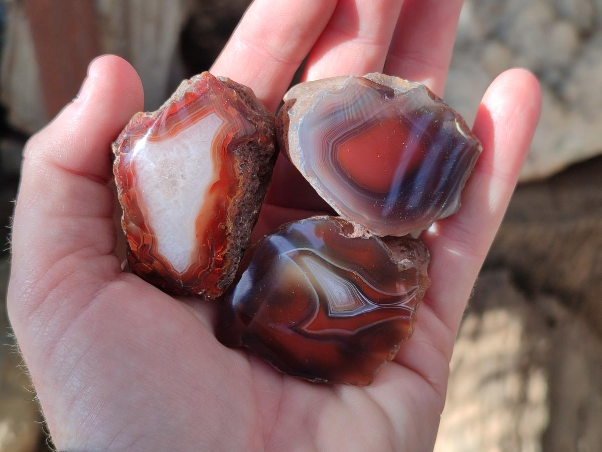 Polished One Side Red Shashe River Agate Nodules x 20 From Shashe River, Zimbabwe - Toprock Gemstones and Minerals 