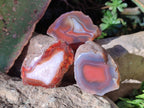 Polished One Side Red Shashe River Agate Nodules x 20 From Shashe River, Zimbabwe - Toprock Gemstones and Minerals 