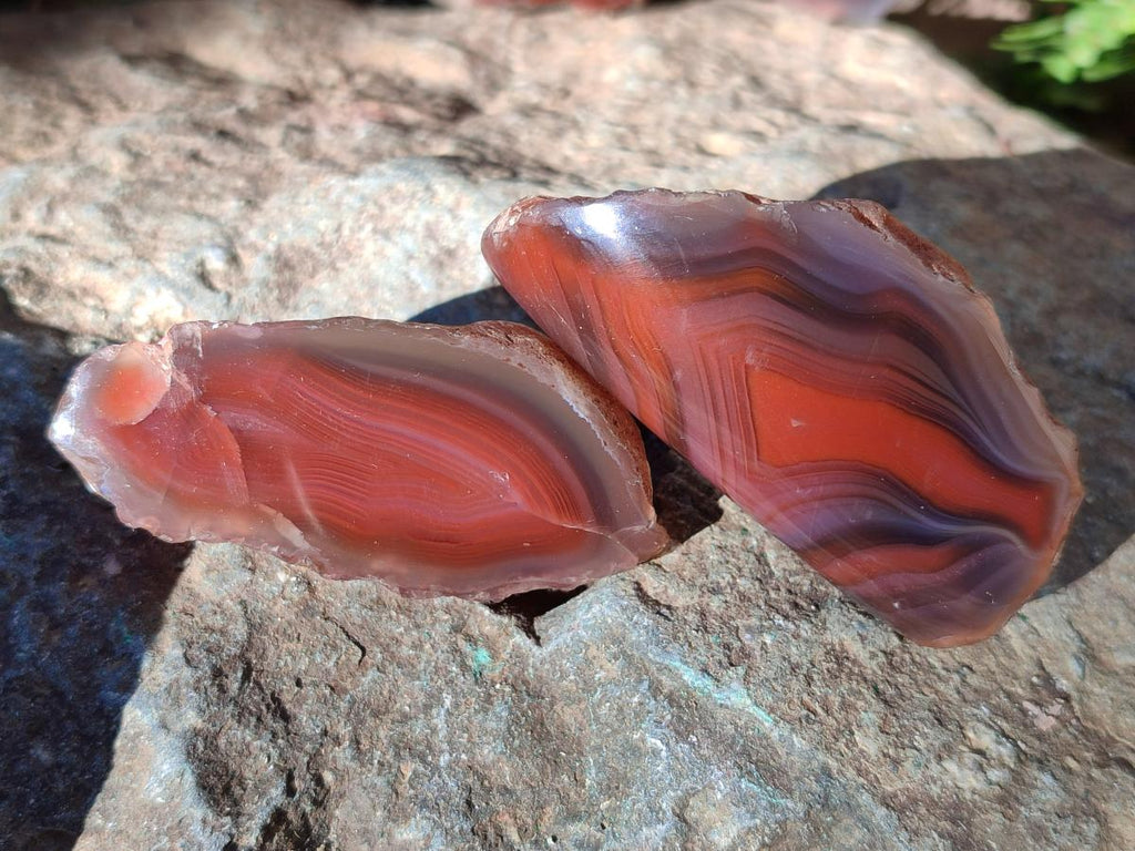Polished One Side Red Shashe River Agate Nodules x 20 From Shashe River, Zimbabwe - Toprock Gemstones and Minerals 
