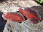 Polished One Side Red Shashe River Agate Nodules x 20 From Shashe River, Zimbabwe - Toprock Gemstones and Minerals 