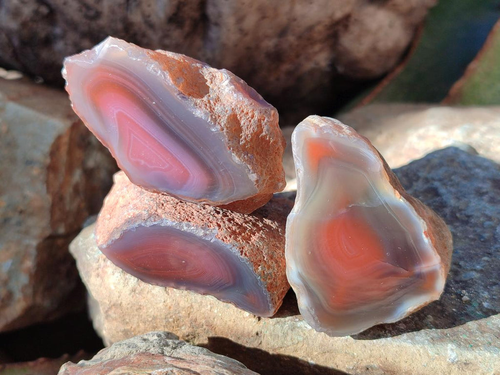 Polished One Side Red Shashe River Agate Nodules x 20 From Shashe River, Zimbabwe - Toprock Gemstones and Minerals 