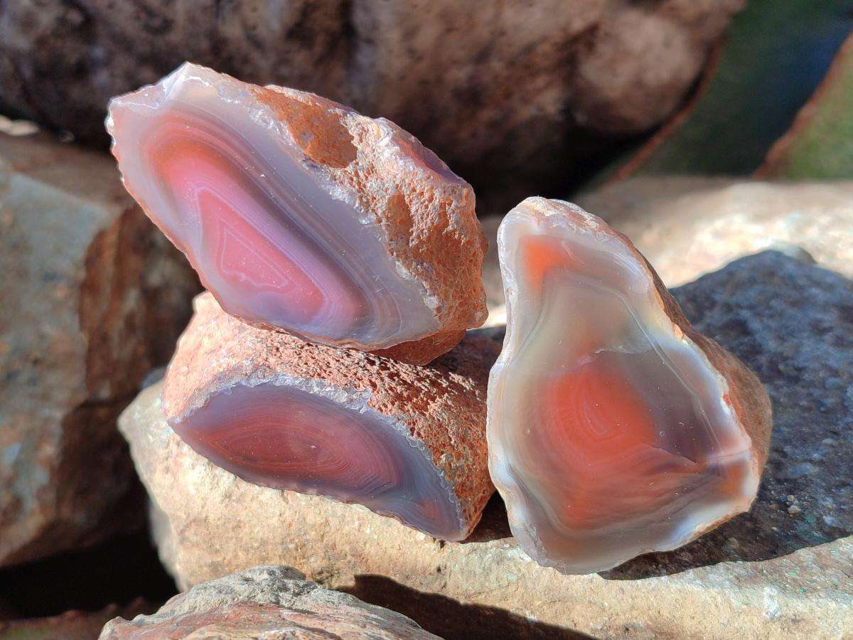 Polished One Side Red Shashe River Agate Nodules x 20 From Shashe River, Zimbabwe - Toprock Gemstones and Minerals 