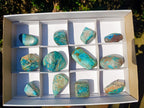 Polished Shattuckite Free Forms x 12 From Kaokoveld, Namibia - Toprock Gemstones and Minerals 