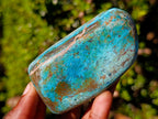 Polished Shattuckite Free Forms x 12 From Kaokoveld, Namibia - Toprock Gemstones and Minerals 